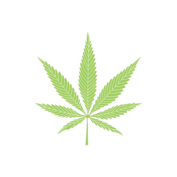 Cannabis Blatt Marihuana Blatt Hand Gezeichnete Vektorillustration Cannabis Skizze Zeichnen — Stockvektor