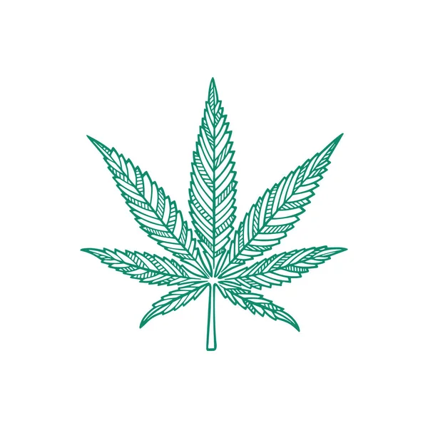 Cannabis Leaf Marijuana Leaf Hand Drawn Vector Illustration Cannabis Sketch — Stock Vector