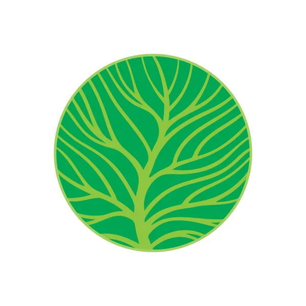 Дерево Абстрактный Логотип Дерева Векторная Иллюстрация Ветвей Деревьев Часть Множества — стоковый вектор