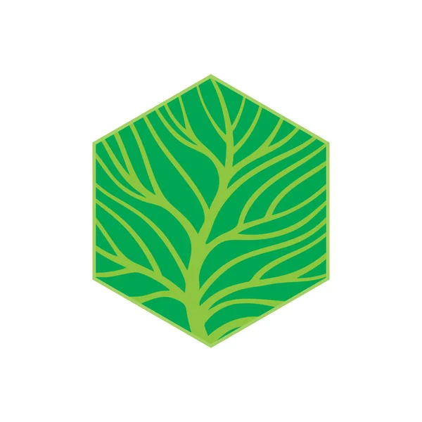 Árbol Logo Abstracto Del Árbol Árbol Ramas Vector Ilustración Parte — Vector de stock