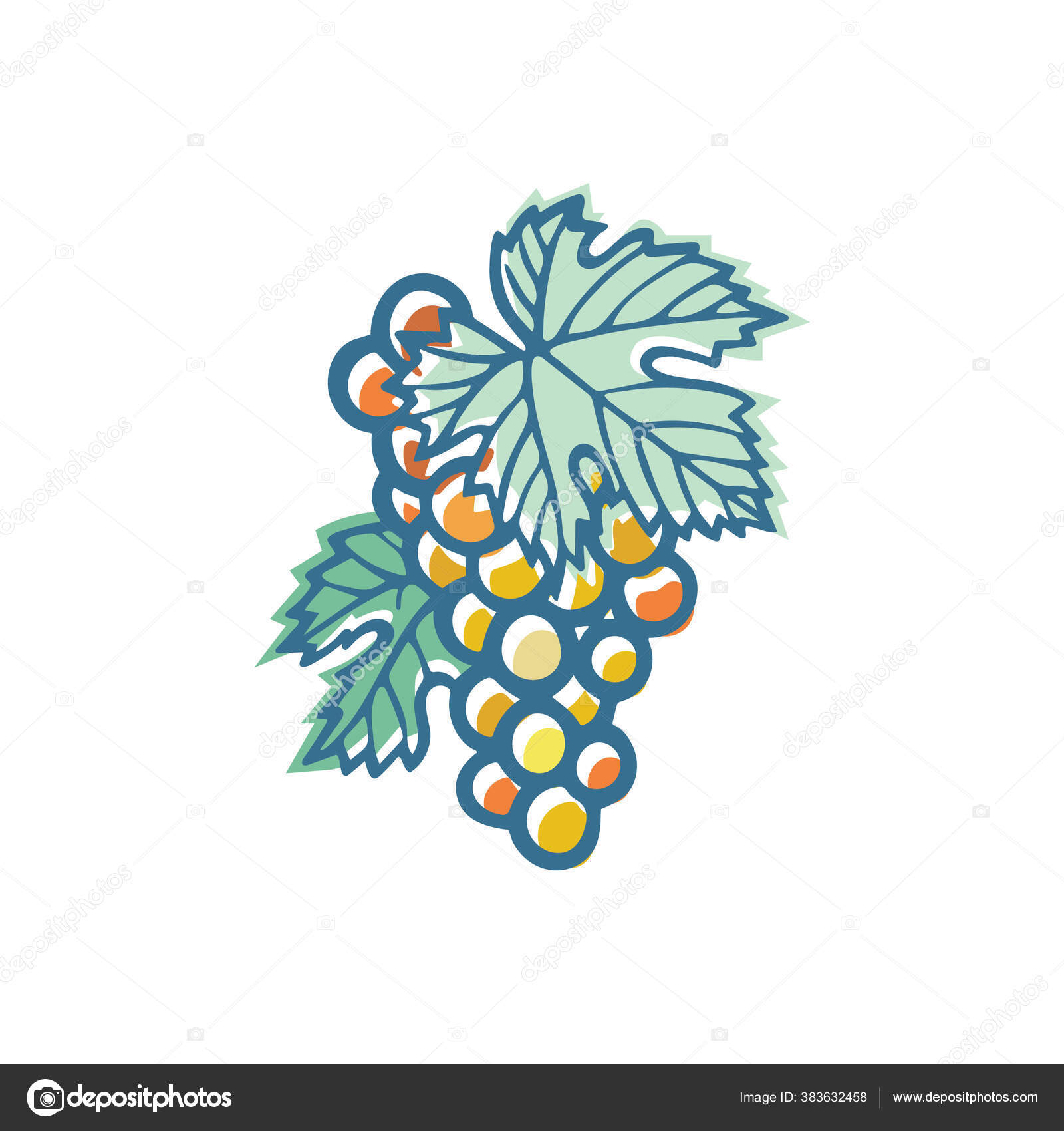 Trauben Handgezeichnete Stilisierte Illustration Von Trauben Und Reben  Trauben Vektor Stock-Vektorbild von ©jakel 383632458, image size:1600x1700