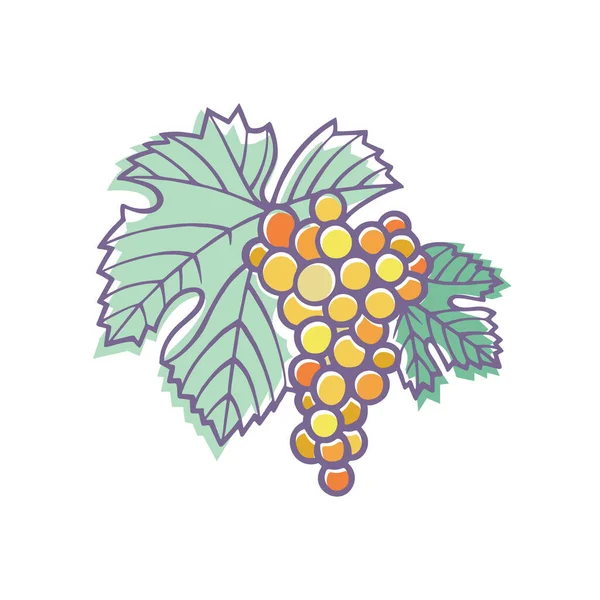 Uva Ilustración Estilizada Uva Vid Dibujada Mano Ramo Uvas Elemento — Vector de stock