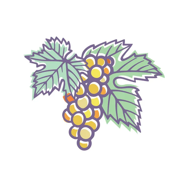 Uva Ilustración Estilizada Uva Vid Dibujada Mano Ramo Uvas Elemento — Vector de stock