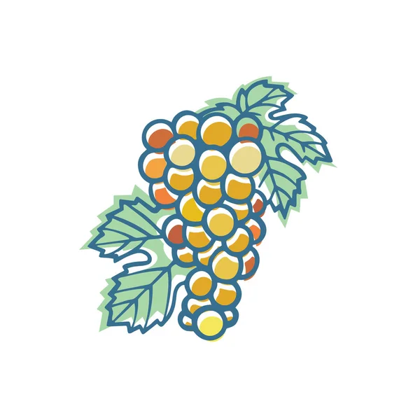 手绘葡萄和葡萄风格的插图 一组葡萄矢量设计元素 葡萄和葡萄标志和装饰品 成套服务的一部分 — 图库矢量图片