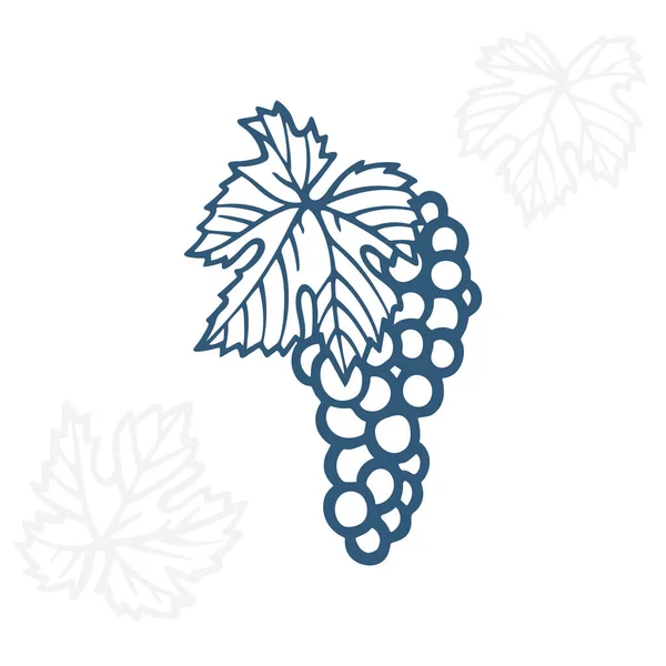 Grape Hand Drawn Grape Vine Engraving Style Illustration Bunch Grapes — Stock Vector