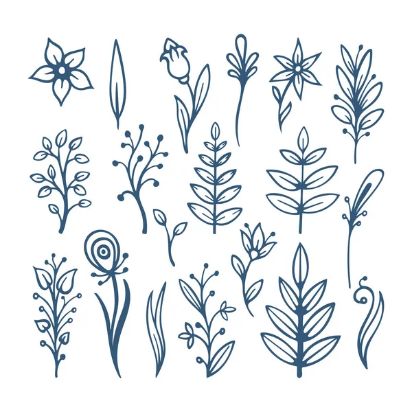 花はコレクションを描くスケッチ 手描きの花ブラシ 単純な植物のイラストを描くスケッチ 集合の一部 — ストックベクタ