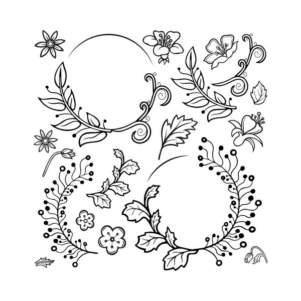 Hand drawn flowers and plants collection. Sketch drawing floral design elements. Flower ornament constructor. Part of set.