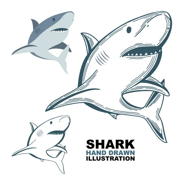 손으로 Set Shark Sketch Draw — 스톡 벡터