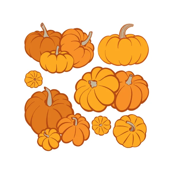 Calabaza Calabazas Dibujado Mano Ilustraciones Vectoriales Conjunto Dibujo Calabaza — Vector de stock