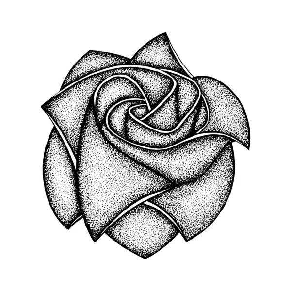 Rose. Hand drawn rose vector illustration. Origami rose.