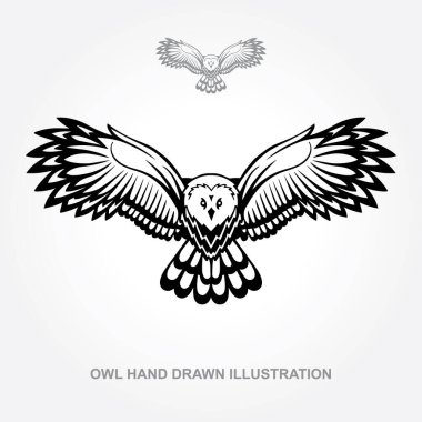 Baykuş. Baykuşun elle çizilmiş vektör çizimi. Baykuş saldırısı çizimi. Kümenin bir parçası.