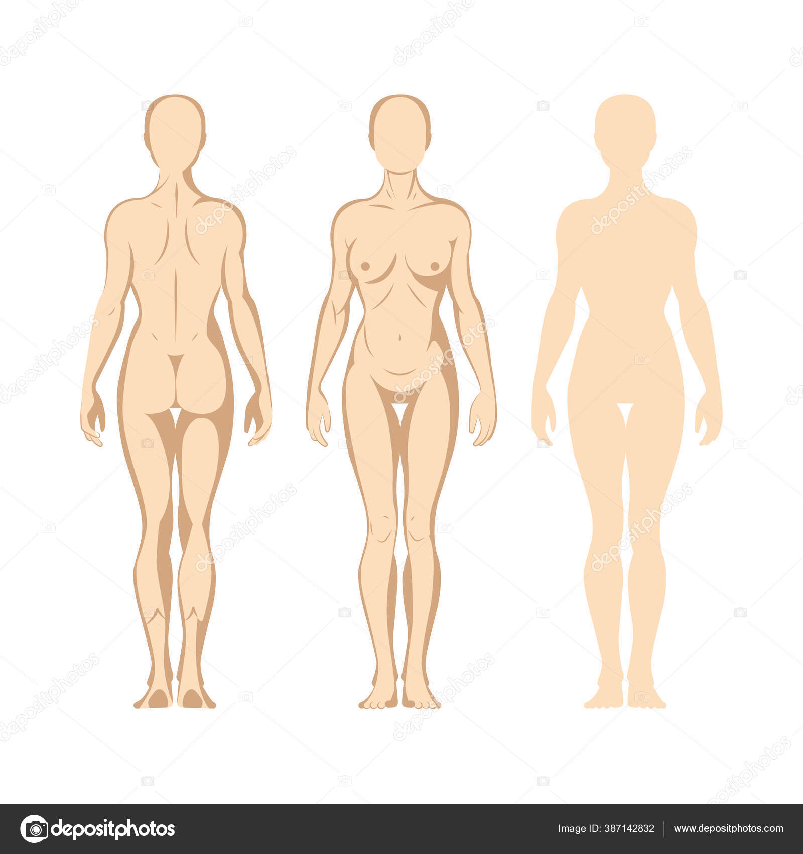 Featured image of post Woman Body Drawing Front And Back Sketch full female body front back stock vector royalty free 1366907342