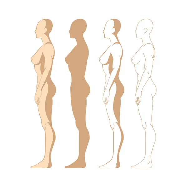 Cuerpo Femenino Conjunto Cuerpo Femenino Dibujado Mano Mujer Vista Lateral — Vector de stock