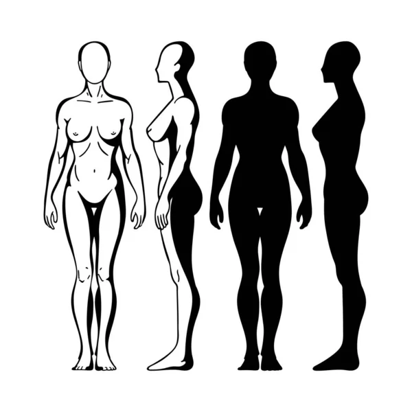女体だ 異なるポーズで女体を手描き 女性のボディフロント サイドとバックビューの絶縁ベクトルイラスト 女性の裸の完全な長さの図のスケッチ 集合の一部 — ストックベクタ