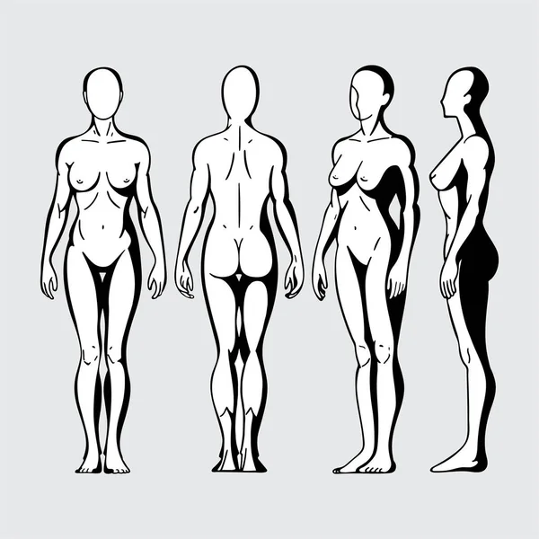 Weiblicher Körper Handgezeichneter Weiblicher Körper Verschiedenen Posen Frauenkörper Vorder Seiten — Stockvektor