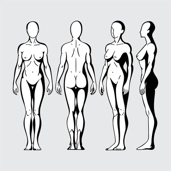 Corpo Feminino Corpo Feminino Desenhado Mão Diferentes Poses Set Corpo — Vetor de Stock