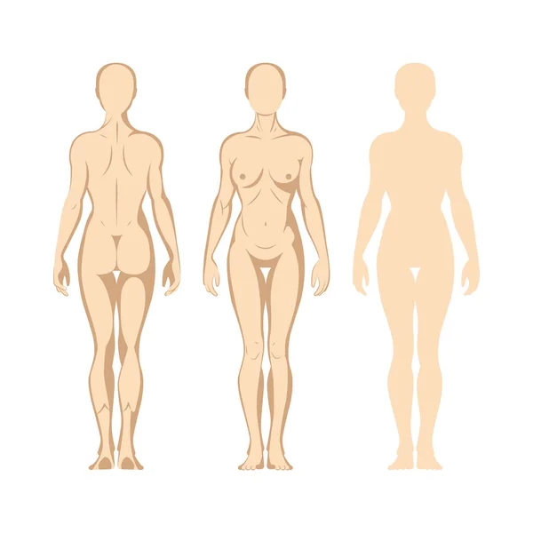 女体だ 手描きの女体セット 女性のボディフロントとバックビュー絶縁ベクトルイラスト 女性の裸の完全な長さの図のスケッチ 集合の一部 — ストックベクタ