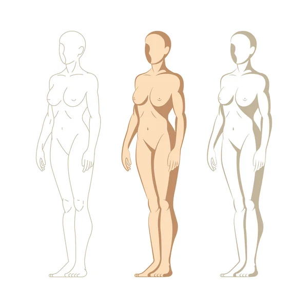 女性身体 手绘女性身体集合 女性身体侧面观察孤立的病媒图解 妇女裸体全长人物画草图 成套服务的一部分 — 图库矢量图片