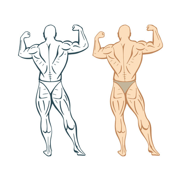 Strong man. Strong bodybuilder hand drawn vector illustration. Muscular man. Part of set.