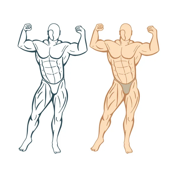 930+ Strength Muscular Build Men Manual Worker Illustrations, Royalty-Free  Vector Graphics & Clip Art - iStock