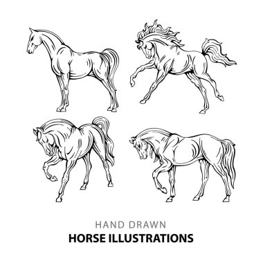 At mı? El çizimi at çizimleri seti. Farklı pozlarda at çizimi..