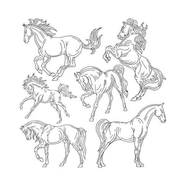 Caballo Juego Ilustraciones Caballos Dibujados Mano Dibujo Dibujar Caballos Diferentes — Archivo Imágenes Vectoriales