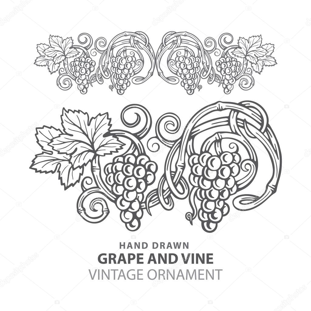 Grape. Hand drawn grape and vine engraving style illustrations set. Bunch of grapes vector design element. Grape and vine logo and background. Wine theme grape and vine vintage style ornament. Part of set.
