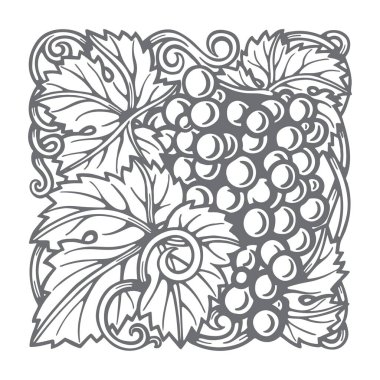 Üzüm. Üzüm ve üzüm oymacılığı stili el çizimi vektör çizimi. Üzüm ve üzüm süsü. Şarap temalı üzüm ve şarap mahsulü tasarımı. Kümenin bir parçası. 