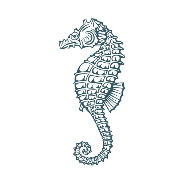 Морской Конёк Набор Векторных Иллюстраций Морском Коньке — стоковый вектор