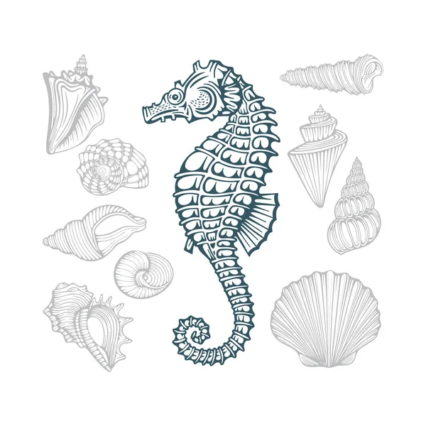 シーホースと貝殻 異なる貝殻手描きベクトルイラストセット 集合の一部 — ストックベクタ