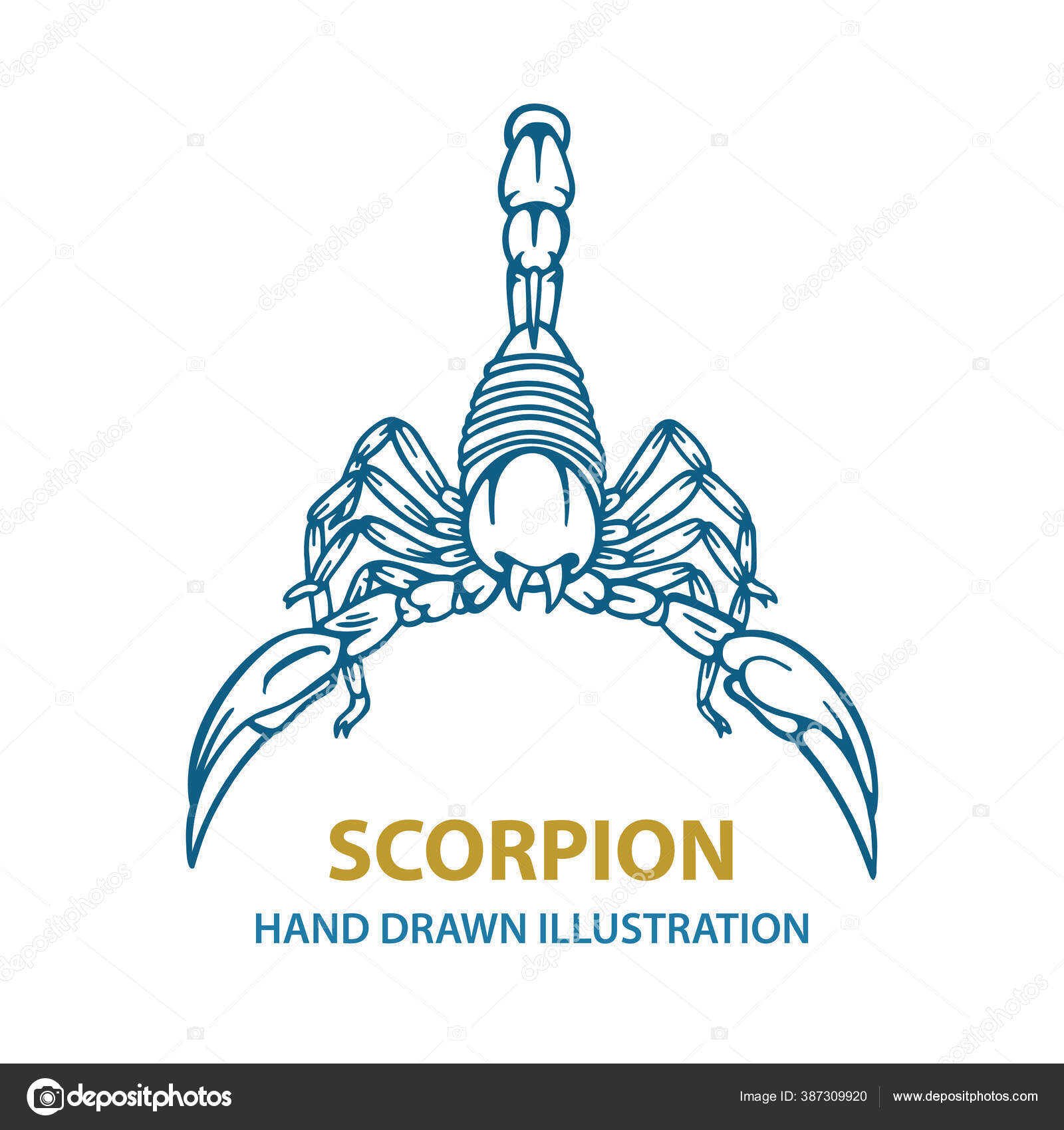 Discover 173+ blue scorpion tattoo best