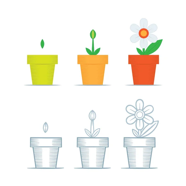 花の成長段階 植林木のプロセスのタイムラインのインフォグラフィック 花手描きベクトルイラスト 白地に鉢花を咲かせます — ストックベクタ