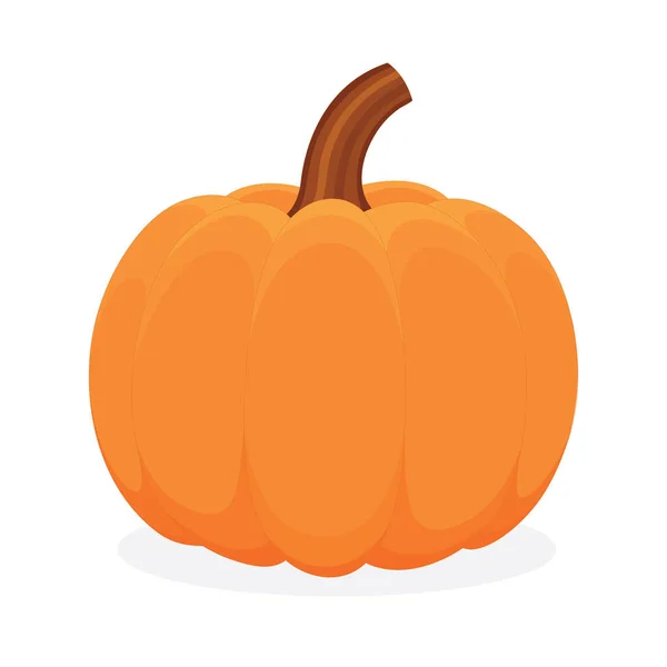 Calabaza Dibujo Dibujos Animados Estilo Calabaza Vector Ilustración Parte Del — Archivo Imágenes Vectoriales