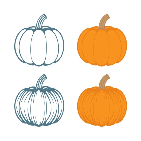 Calabaza Calabazas Dibujado Mano Ilustraciones Vectoriales Conjunto Dibujo Calabaza — Archivo Imágenes Vectoriales