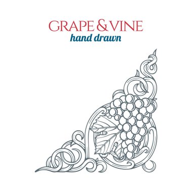 Üzüm ve üzüm. El çizimi üzüm demeti gravür stili çizimi. Bir demet üzüm çizimi köşe süsleri. Kümenin bir parçası.