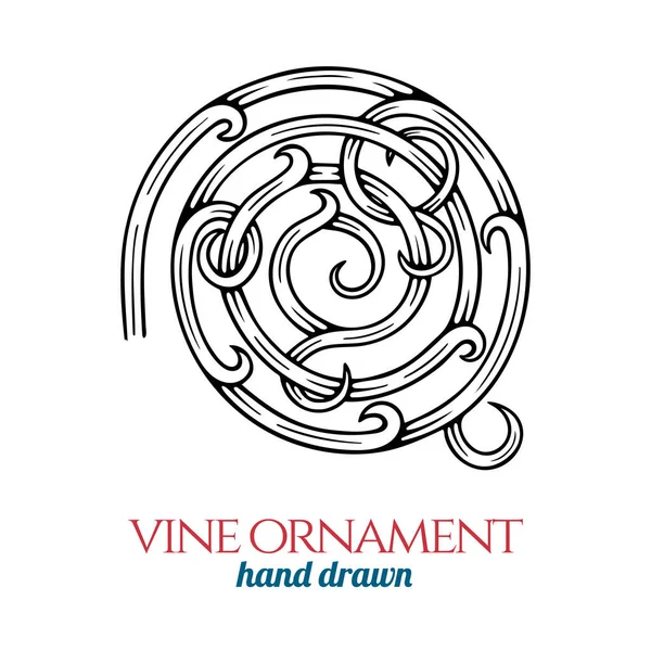 Ornement Vigne Illustration Vectorielle Style Vintage Vigne Dessinée Main Esquisse — Image vectorielle
