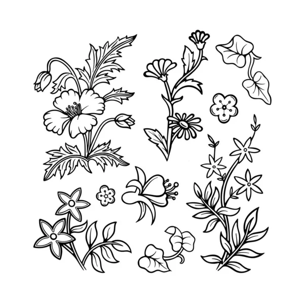 手描きの花や植物コレクション 花のデザイン要素を描くスケッチ フラワーオーナメントコンストラクター 集合の一部 — ストックベクタ