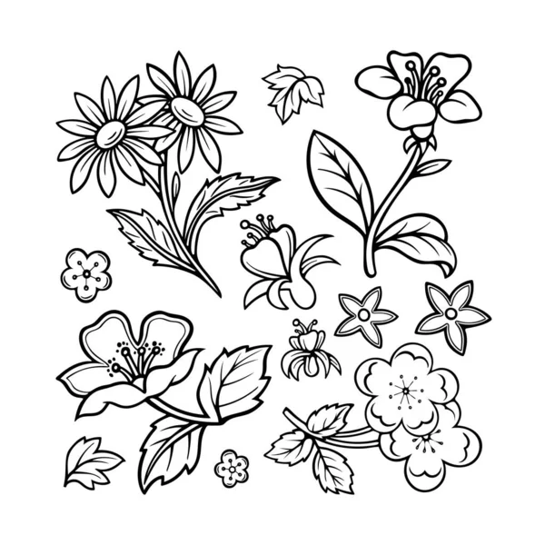 Ręcznie Rysowane Kwiaty Kolekcja Roślin Szkic Rysunek Kwiatowe Elementy Konstrukcyjne — Wektor stockowy