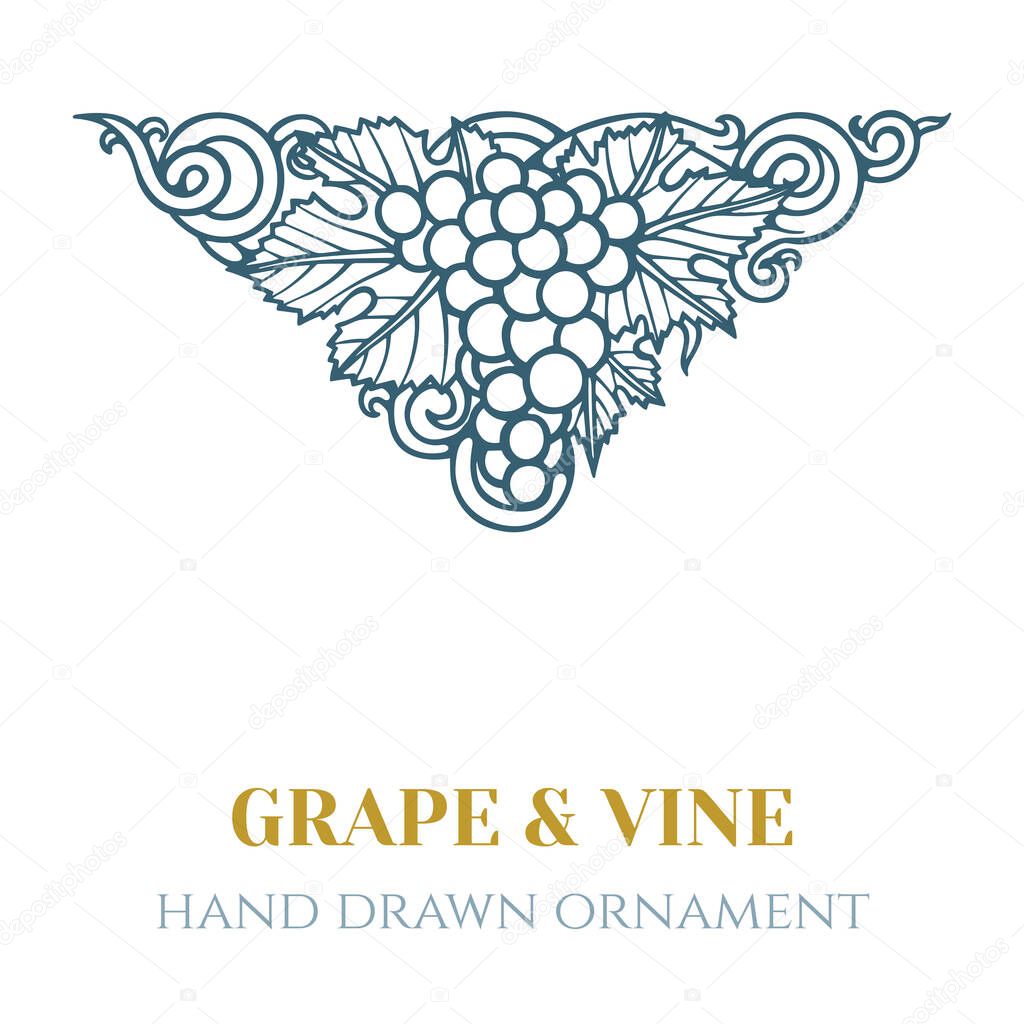 Grape and vine.  Hand drawn grape bunch engraving style illustration. Bunch of grapes sketch drawing corner ornament. Part of set.