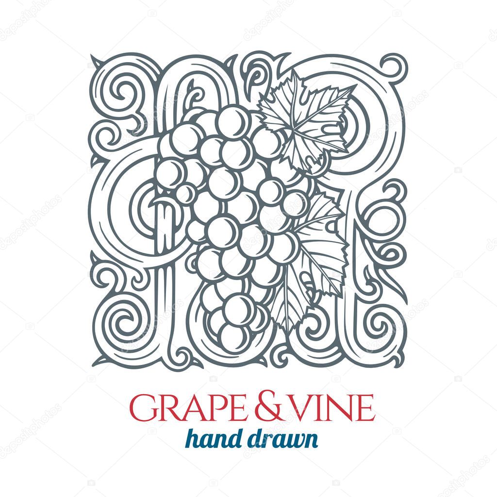 Grape and vine.  Hand drawn grape bunch engraving style illustration. Bunch of grapes sketch drawing corner ornament. Part of set.