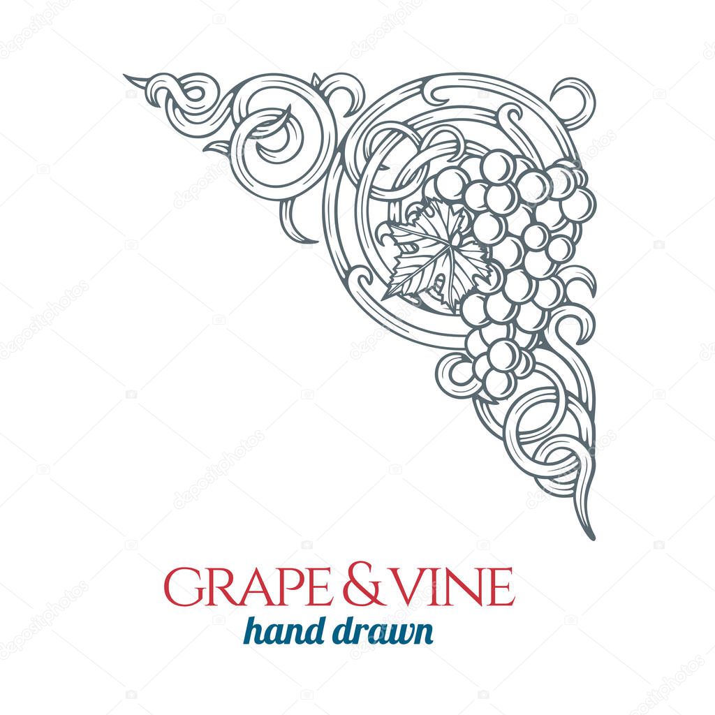 Grape and vine.  Hand drawn grape bunch engraving style illustration. Bunch of grapes sketch drawing corner ornament. Part of set.