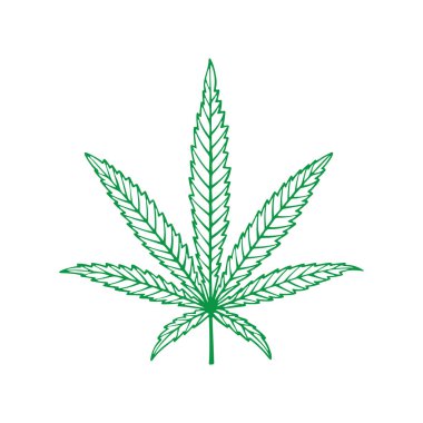 Esrar. Beyaz arka planda kenevir yaprağı çizilmiş vektör çizimi. Marihuana yaprağı çizimi. Kümenin bir parçası.