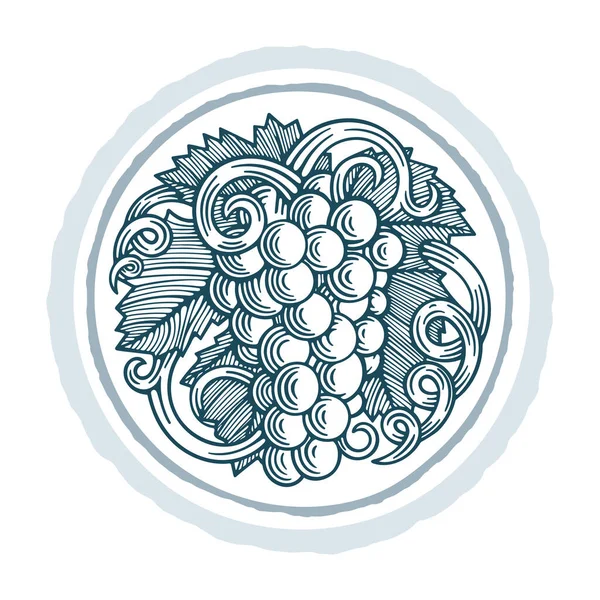 Grape Bunch Engraving Style Ornament Grape Vine Hand Drawn Vector — Stock Vector