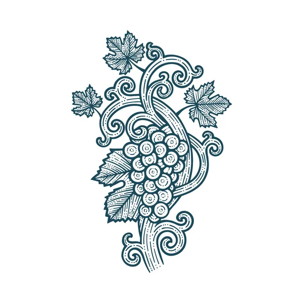 Grape Bunch Vine Leafs Grape Vine Vintage Style Hand Drawn — Stock Vector