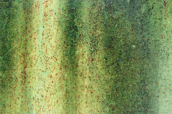 Green rusty metal texture. Vintage effect.