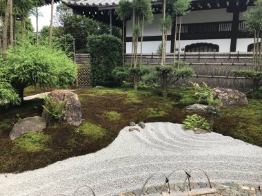 Japonya Bahçe bambu evler arasında büyüyen