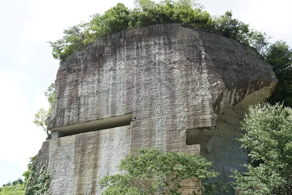 Weergave Van Rock Met Groene Bomen Overdag — Stockfoto