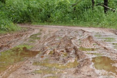 kirli yere yol yağmur gündüz, sonra 