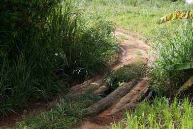 kirli yere yol yağmur gündüz, sonra 