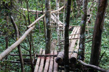 köprüler, gündüz ormanı görünümünü